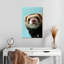 Furet sournois-1532747666