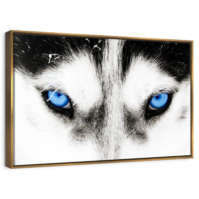 Husky's Eyes