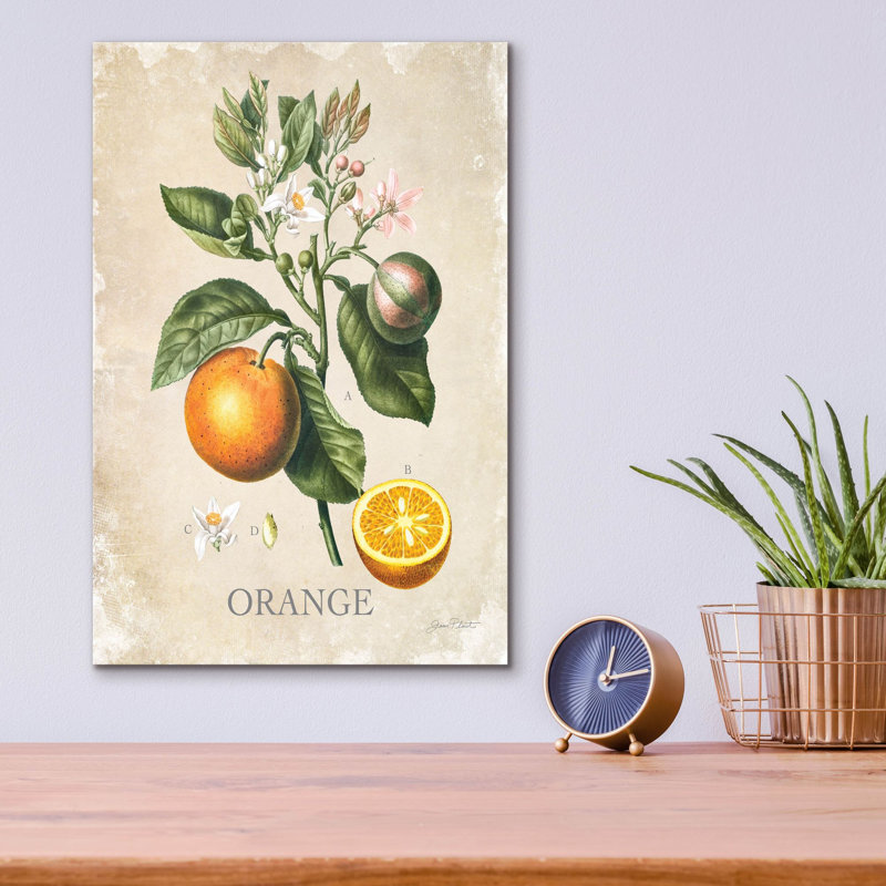 «Luscious Fruit Study E» par Jean Plout, art mural en verre acrylique, H 16 po x l 12 po x P 0,13 po