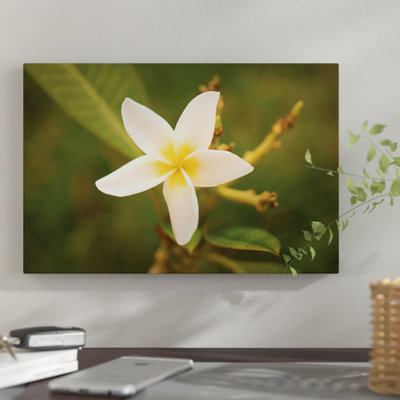 «White Flower» par Aged Pixel, reproduction sur toile tendue
