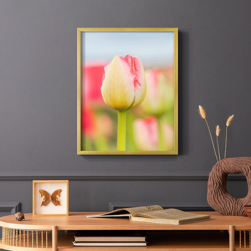 «Twotone Tulip», reproduction encadrée - bois massif, H 10 po x l 8 po
