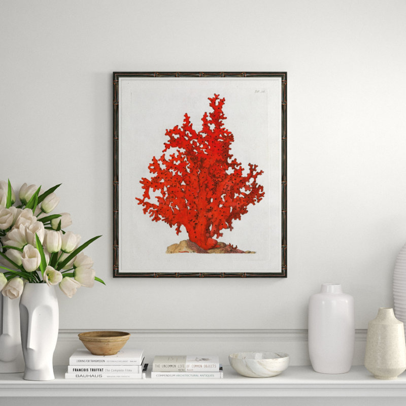 Red Coral I Giclee Print by Soicher Marin Archives