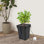 Hydroponics Growing System