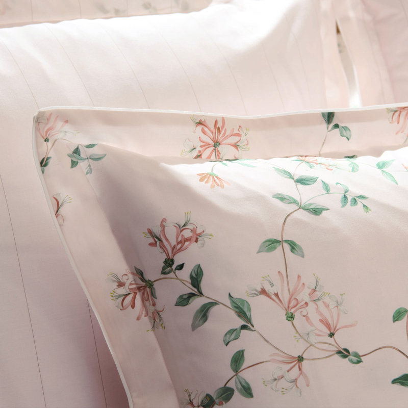 Nature Standard sham, Euro