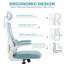 Tunney Ergonomic Height-Adjustable Mesh Office Chair with Headrest-696389717