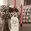 Ivory Taper Candles - 4 Pack, 10 Inch, Unscented-905415171