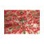 Oriental Area Rug