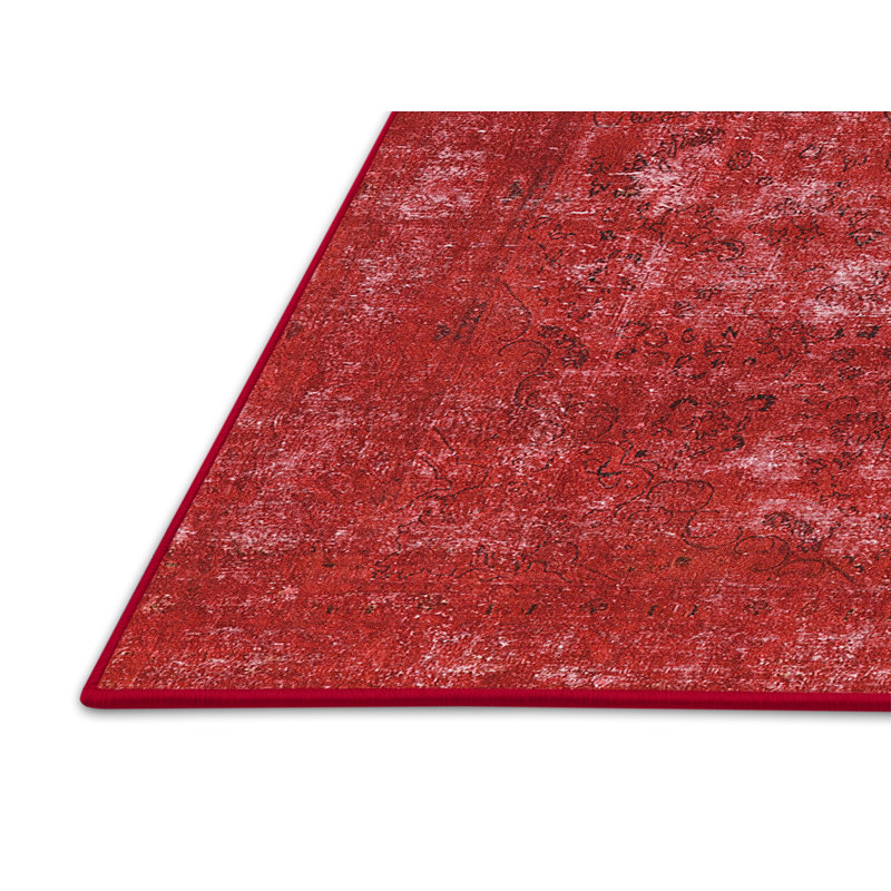 Oriental Indoor Rug, Rectangle 2' x 4'