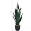 36 po Faux Snake Plant en pot