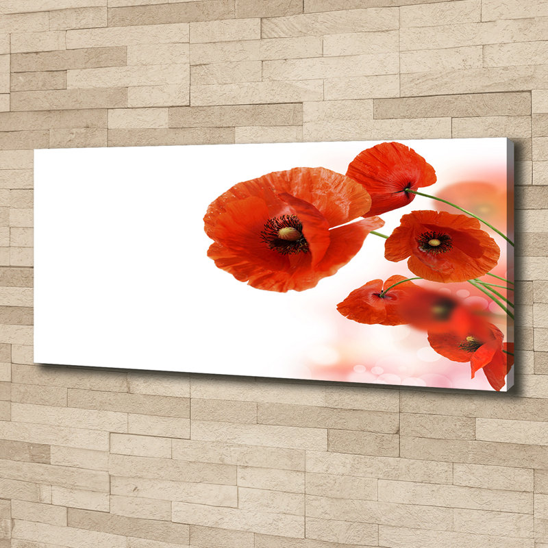 Maki - Wrapped Canvas Print