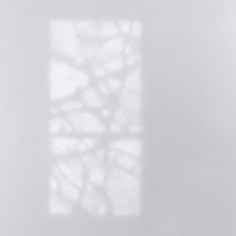 Ombres éphémères