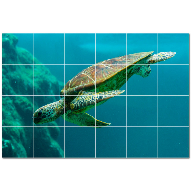Turtle Photo 6'' x 6'' Satin Ceramic Decorative Mural