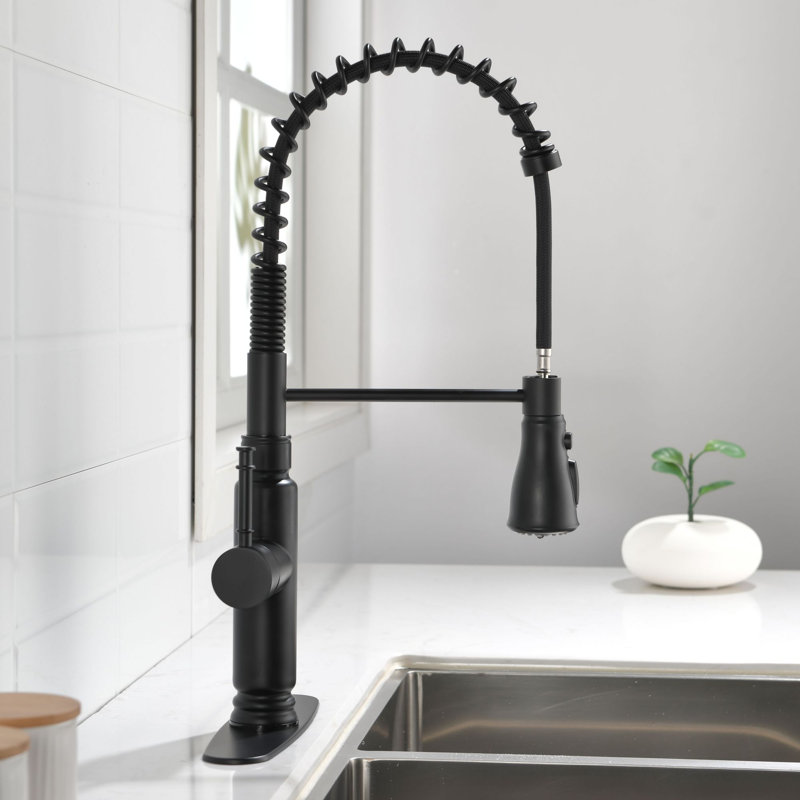 Robinet de cuisine rétractable à poignée simple avec accessoires, Noir mat