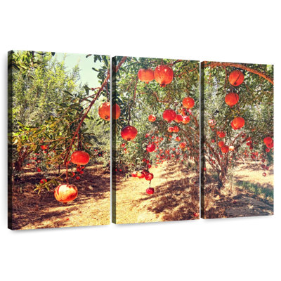 Harnek Pomegranate Orchard