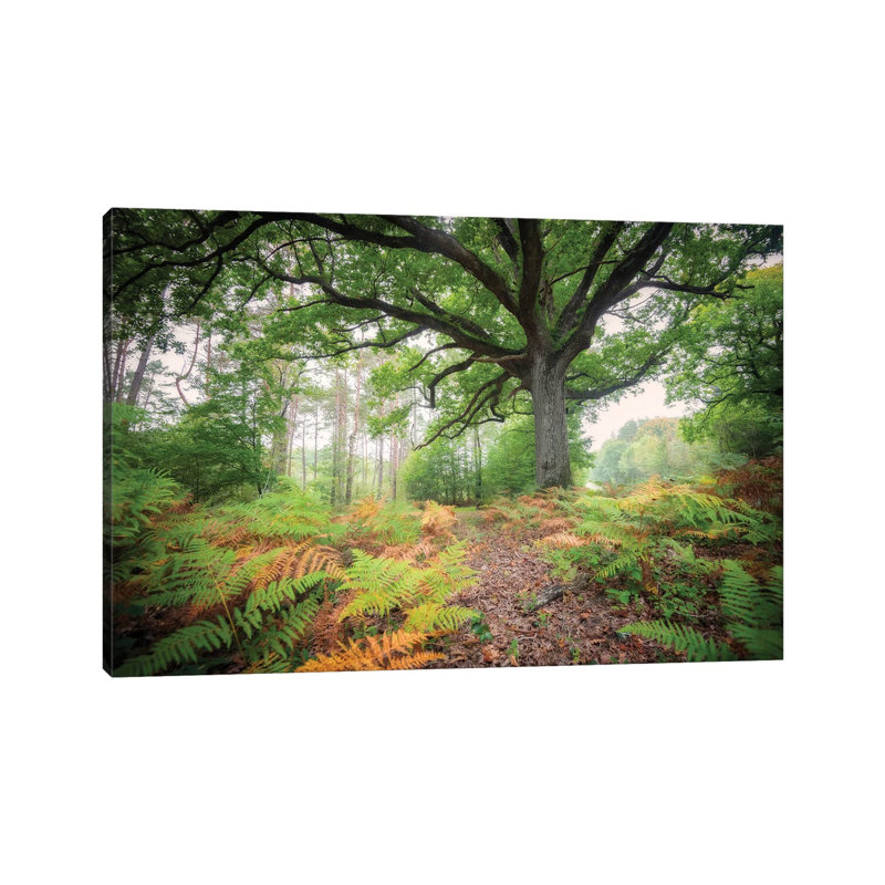 The Protector Oak Tree by Philippe Manguin - Wrapped Canvas Painting, 66.04cm H x 101.6cm W x 1.905cm D