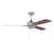 Brushed Polished Nickel/Tan