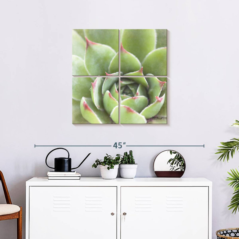 Harnek Garden Succulents III, H 26 po x l 26 po