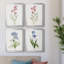 Delicate Pink I - ensemble de 4 peintures sur toile encadrées-379458574-379458573