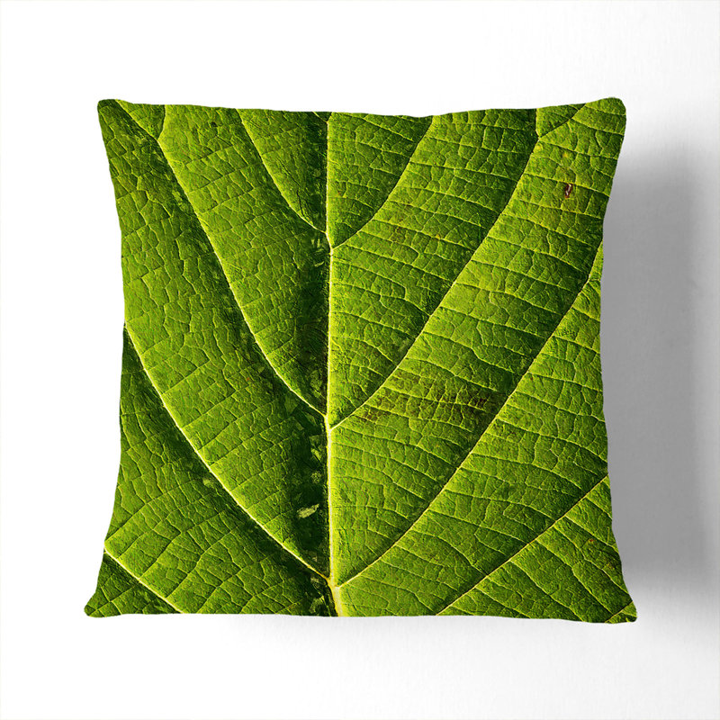 Leaf Pathways Cushion with Filling, 40cm H x 40cm W x 15cm D