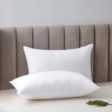 Cragmont Soft Sleeping Down Alternative Plush Support Pillow