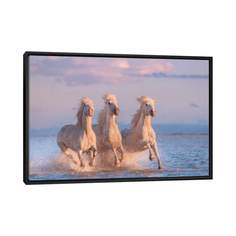 White Angels Of Camargue XXX by Daniel Kordan - Print on Canvas, 101.6 cm H x 66.04 cm W, Black Framed