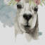 Llama Flora I - Single Picture Frame Painting-1807311592