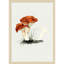 Reproduction imprimée à la main d'un champignon Milkcap-95667550-95667551