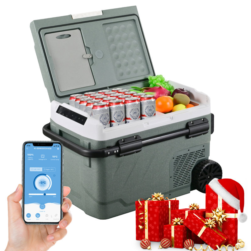 Alpicool 42 Quart Green Dual Zone Portable Car Refrigerator