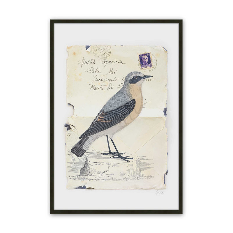 «Wheatear» par Deborah Revell, reproduction d'art sur toile, H 48 po x l 36 po, Noir