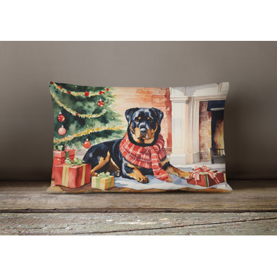 Other/No Pattern Outdoor Throw Pillow