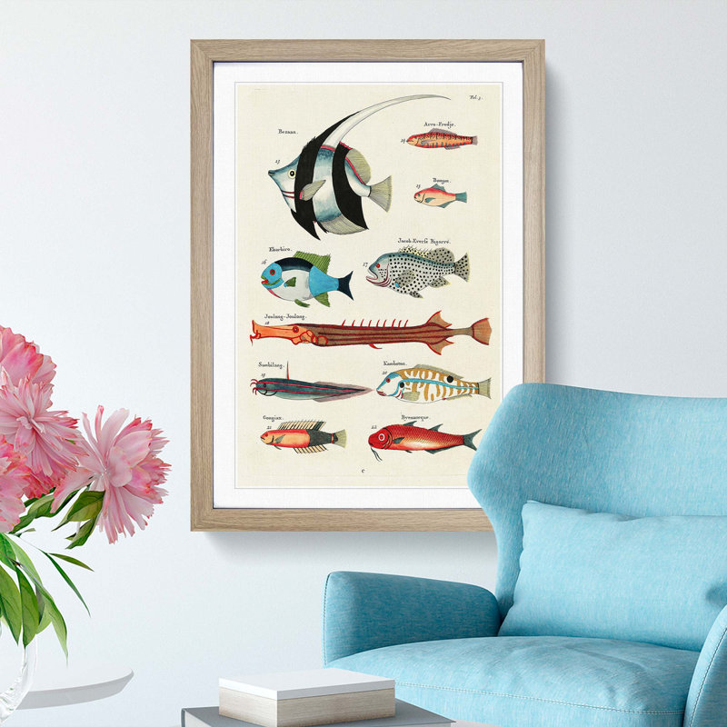 East Indies Fish Illustrations Fol. 3 by Louis Renard - Picture Frame Painting Print, 48cm H x 36cm W x 2cm D, Oak Framed
