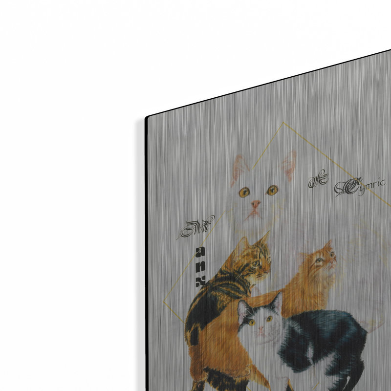 «Cymric And Manx» par Barbara Keith, H 16 po x l 12 po