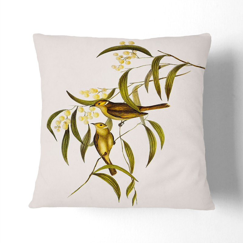 Double Plumed Honeyeater by Elizabeth Gould Cushion with Filling, 40cm H x 40cm W x 15cm D