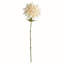 DAHLIA STEM 28"-719130425