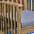 CASA ACACIA DINING CHAIR,2PCS With 2 Cushions-16231651-16231662