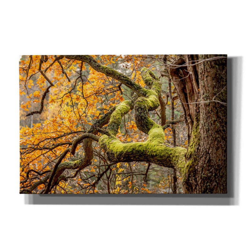 «Reaching Autumn Branch» par Nicklas Gustafsson, H 12 po x l 18 po x P 0,75 po