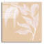 «Leaf Study V» par Chris Paschke-946057350