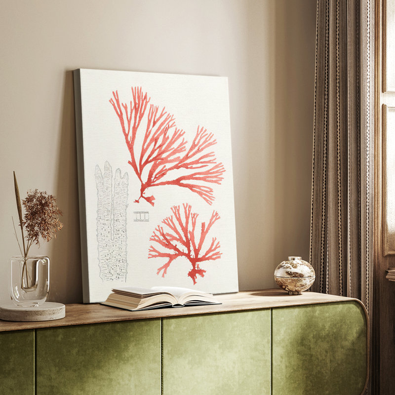 Étude de corail rétro I - galerie Cavas sur mesure, H 60 po x l 40 po