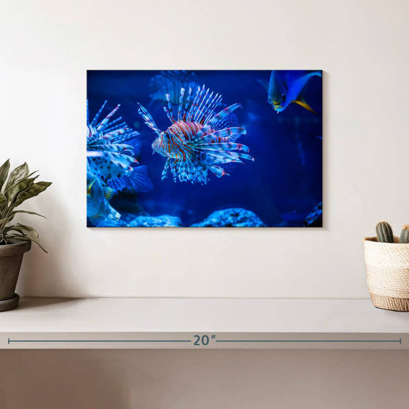 Brampt Aquarium Lionfish