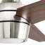 Ventilateur de plafond 52 po avec lumières DEL et télécommande Eamon-785964195
