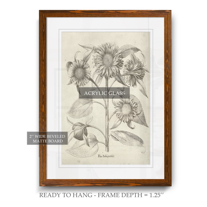Reproduction d’art sur papier encadrée « fresco sunflower ii » par paul cezanne, H 28 po x l 38 po x 1,25 po