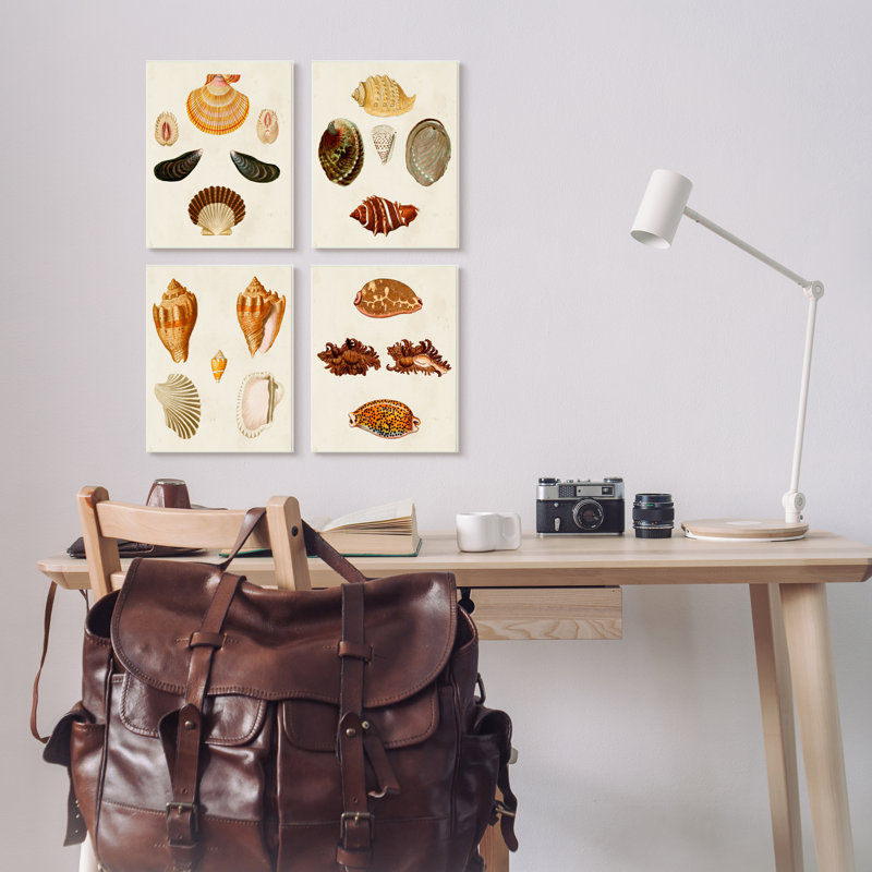 " Vintage Seashell Study Intricate Shell Patterns " by G.W. Knorr 4 - Pieces, 20" H x 16" W x 1.5" D, Black Framed