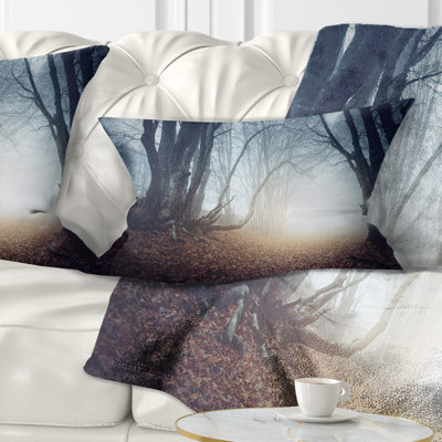 Coussins lombaires de forêt mystérieux