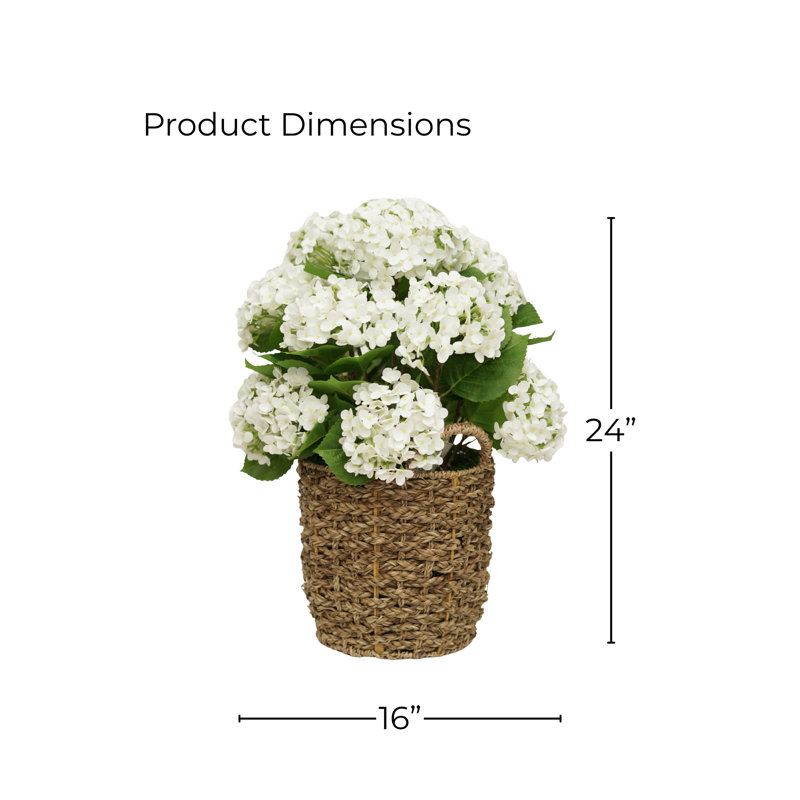 24" White Hydrangea in Natural Seagrass Basket