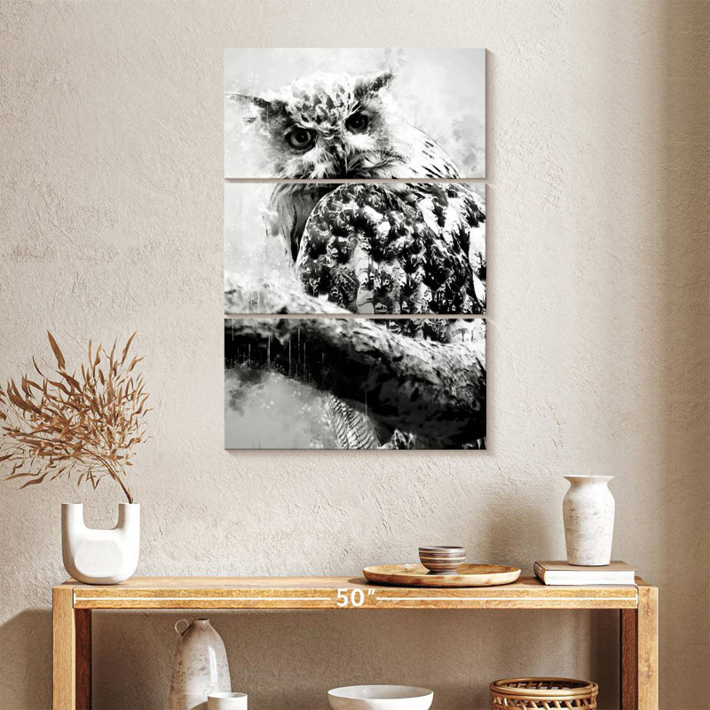 Owl Looking Black And White