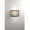 Iron Wallchiere