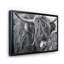 «Scottish Cow on Moorland II» - photographie sur toile-60162413-60162419