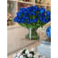 Grand cylindre Rota avec tulipes bleues 