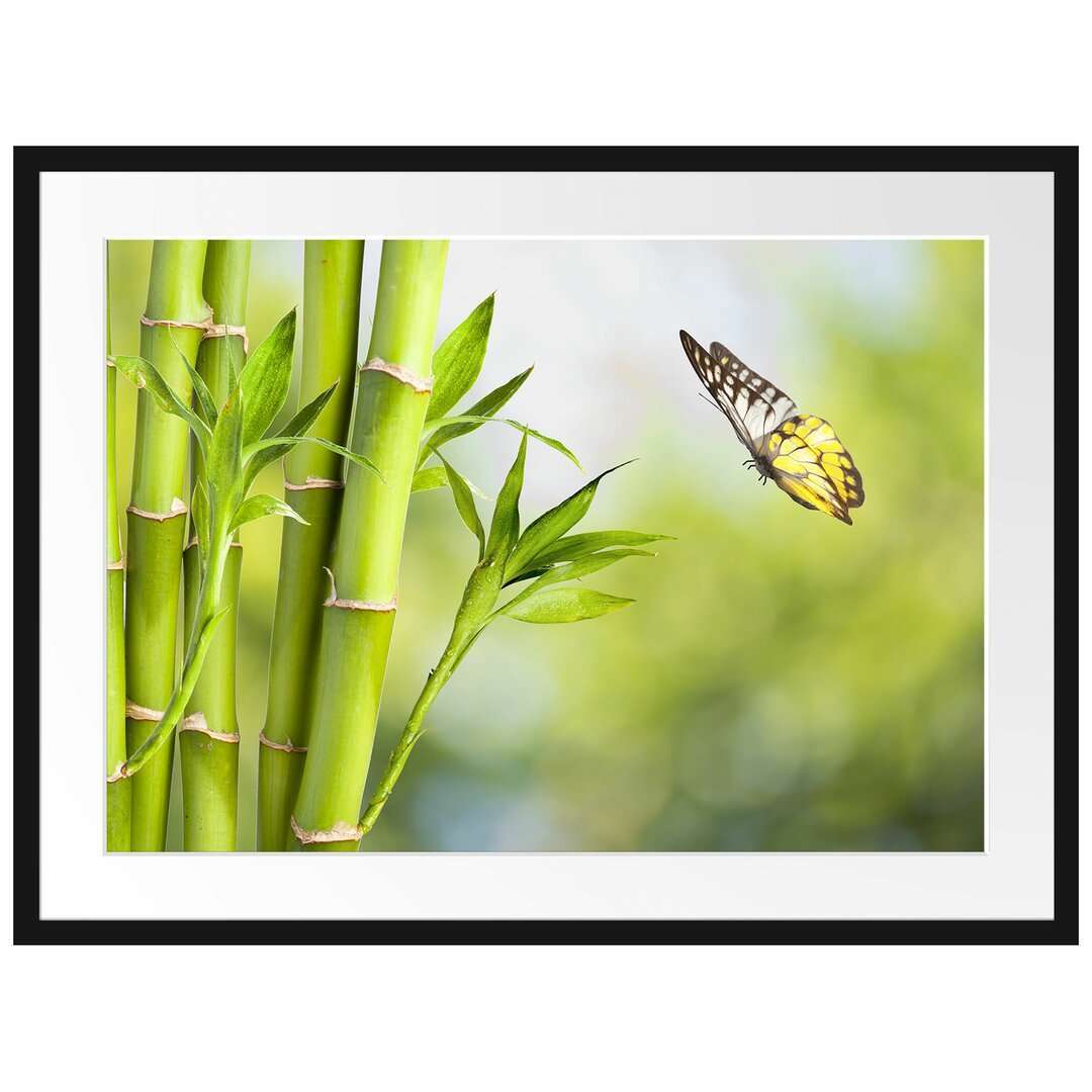 Gerahmtes Poster Bambus mit Schmetterling