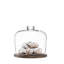 City Glass Cake Stand